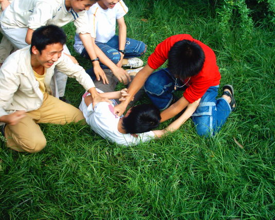 2006  (38)